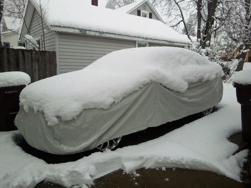 Customer photo review of Seal Skin Supreme Car Covers