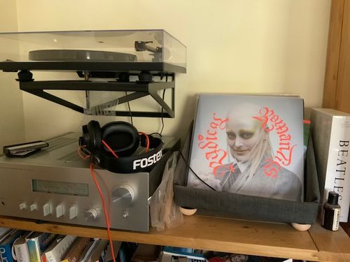 Customer photo review of Record Roots Tabletop Storage System