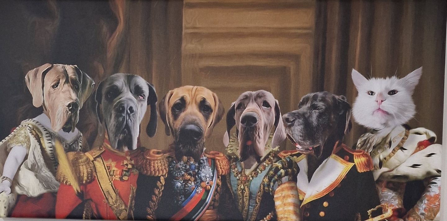 Customer photo review of Submit Your Own Design: Pet Portrait