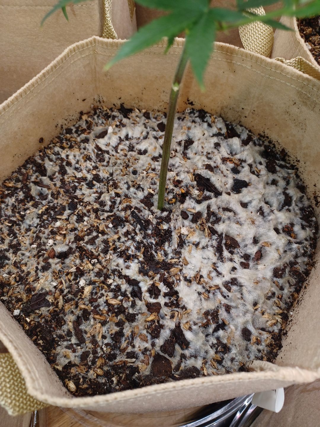 Customer photo review of BierKashi Bokashi 5 to 50 lbs