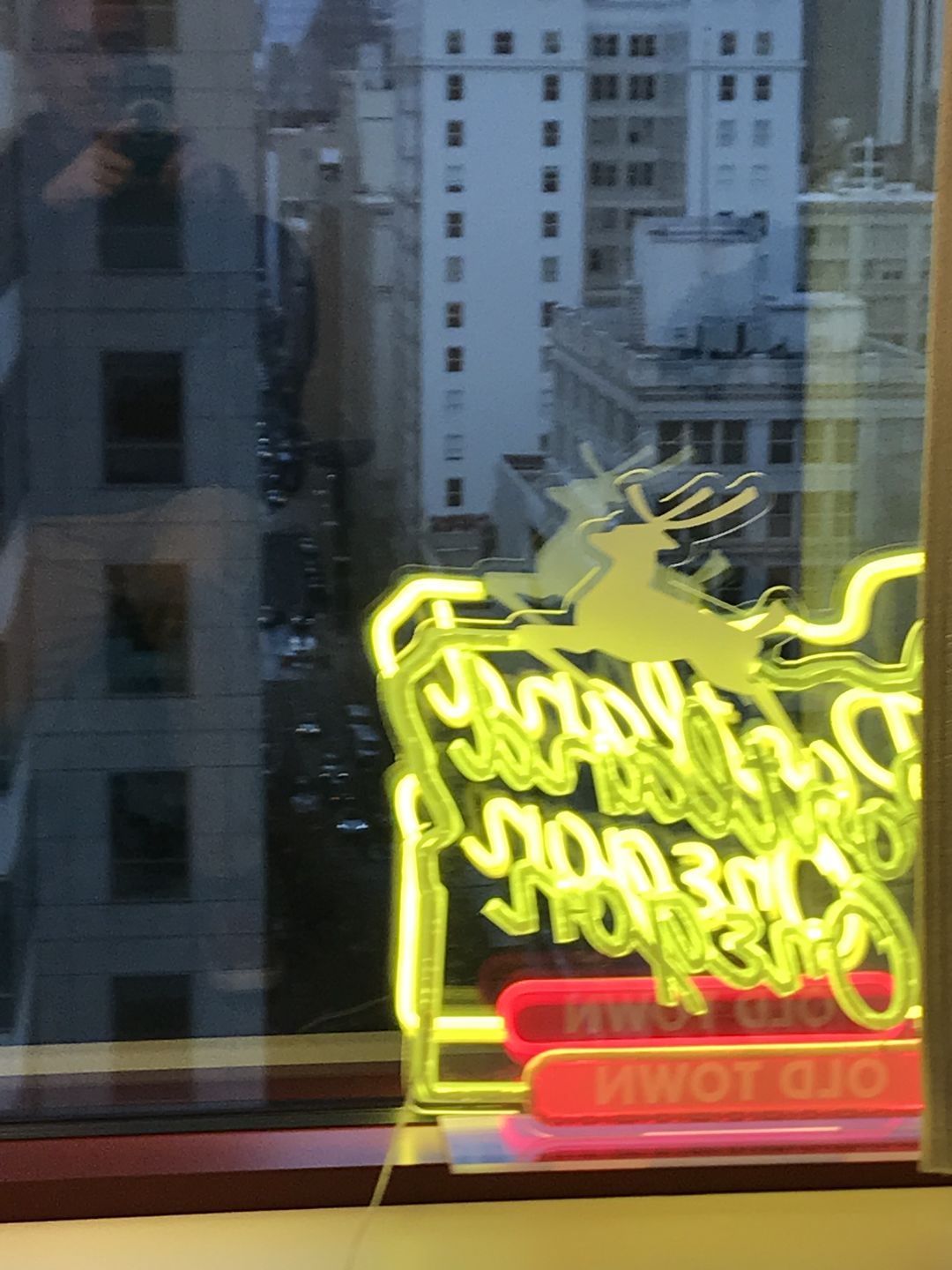 Customer photo review of LED Portland Sign