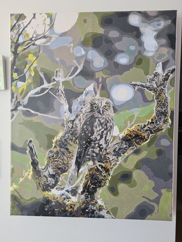 Customer photo review of Morepork