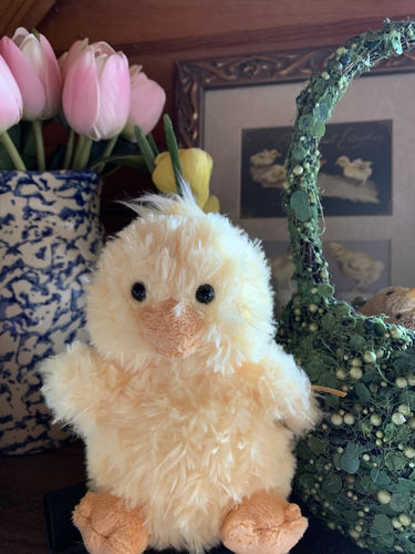 Customer photo review of Steiff PIPSY CHICK, 9 INCHES, EAN 073687