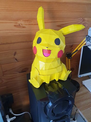 Customer photo review of Patrons Pikachu (pdf)