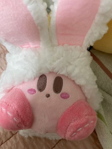 Customer photo review of Kirby Buddy Plush Keychain