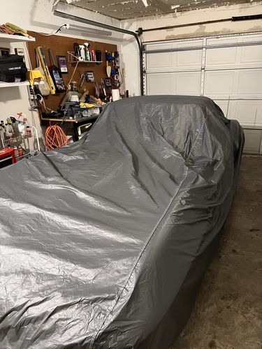 Customer photo review of Seal Skin Elite Car Covers