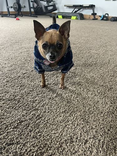 Customer photo review of Playa Poncho - Surprise Color