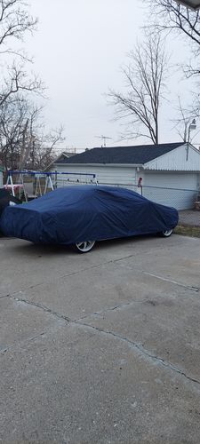 Customer photo review of Seal Skin Supreme Car Covers