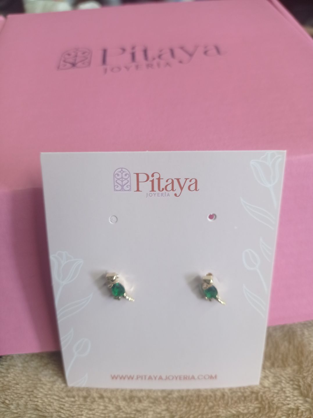Customer photo review of Aretes de Dinosaurio