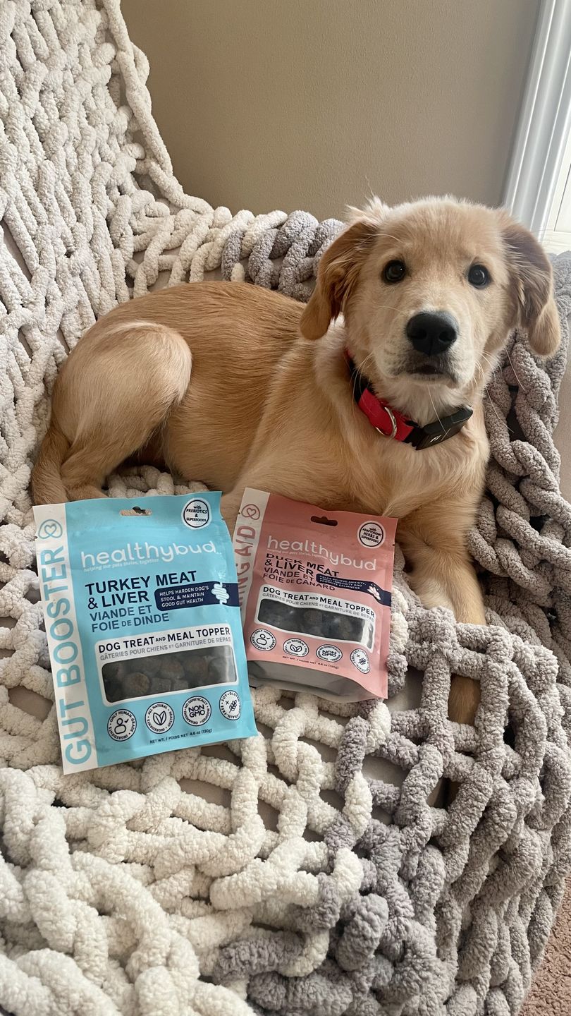 Customer photo review of Turkey Gut Booster