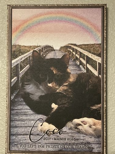 Customer photo review of My Dog By The Rainbow Bridge Pet Memorial Sign | Customizable Canvas