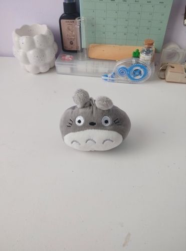 Customer photo review of Studio Ghibli Totoro Plush Keychain