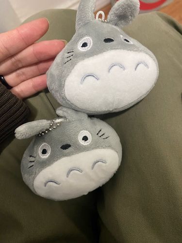 Customer photo review of Studio Ghibli Totoro Plush Keychain