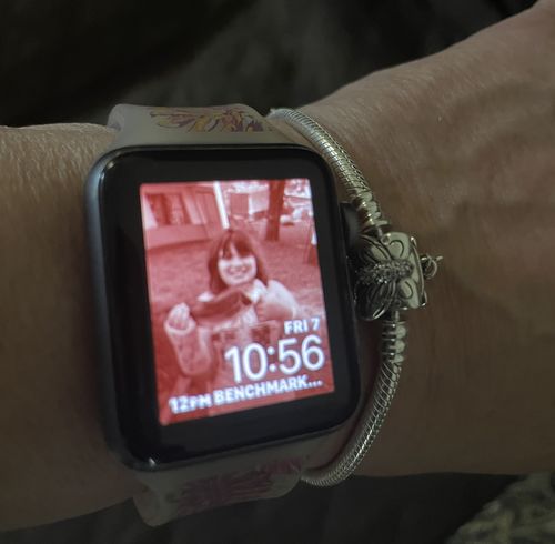 Customer photo review of Pandora Moments Bracelets