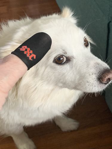 Customer photo review of "Consistency V2" Finger Sleeves Five Pack