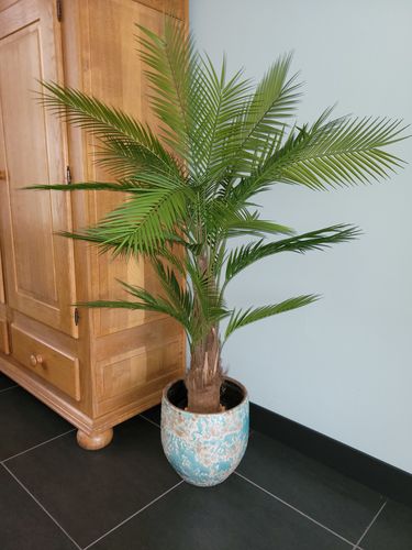 Customer photo review of Kunstpalm 4 150cm