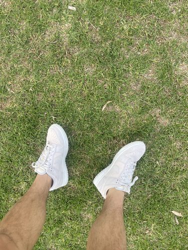 Customer photo review of Nike Dunk Low Premium 'Vast Grey'