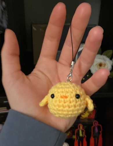 Customer photo review of Little Chic Crocheted Keychain