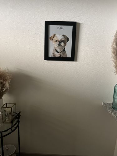 Customer photo review of The Passport - Custom Pet Canvas