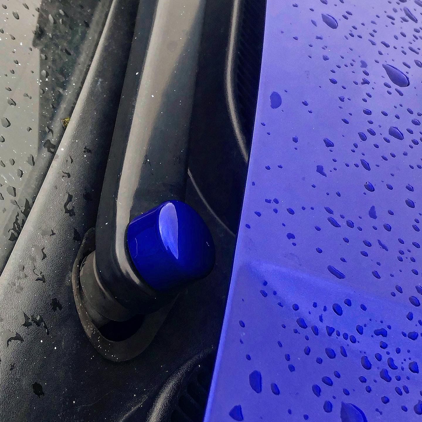 Customer photo review of Wiper Arm Bolt Rubber Covers - Mk7/7.5/8/8.5 Fiesta