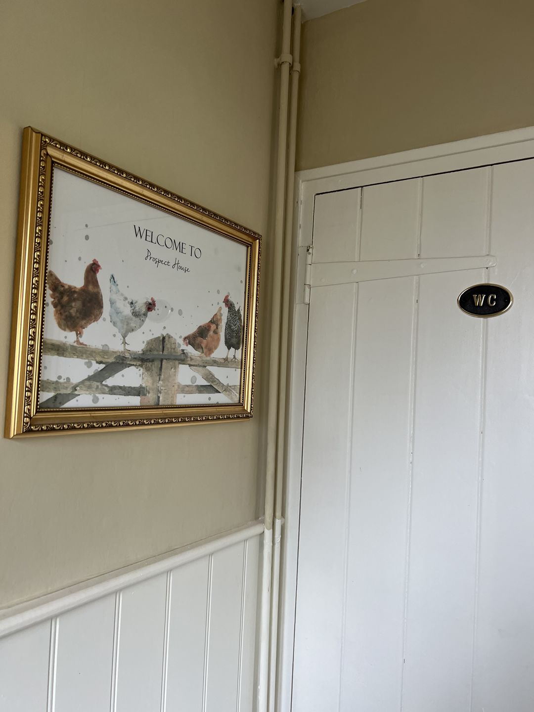 Customer photo review of WC Toilet Door Sign · Brass ·
