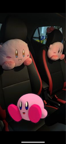 Customer photo review of Kirby Puffington Car Cushions