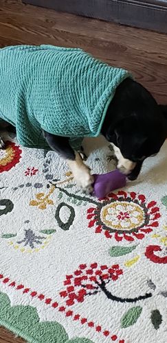 Customer photo review of Freezbone's Bundle