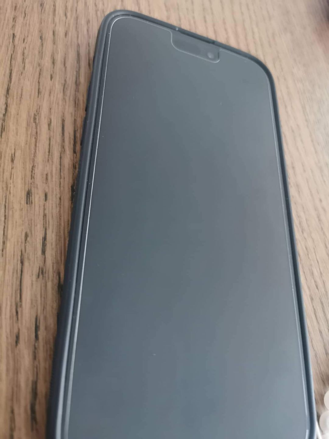 Customer photo review of Screen Protector