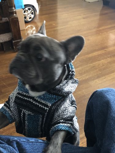 Customer photo review of Playa Poncho - Surprise Color