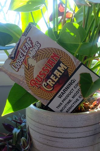 Customer photo review of Russian Cream Looseleaf Minis (40 Count)