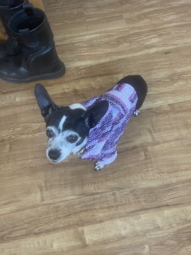 Customer photo review of Playa Poncho - Surprise Color