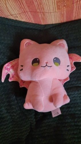 Customer photo review of Peluche Dragon<br> Chat Ailé