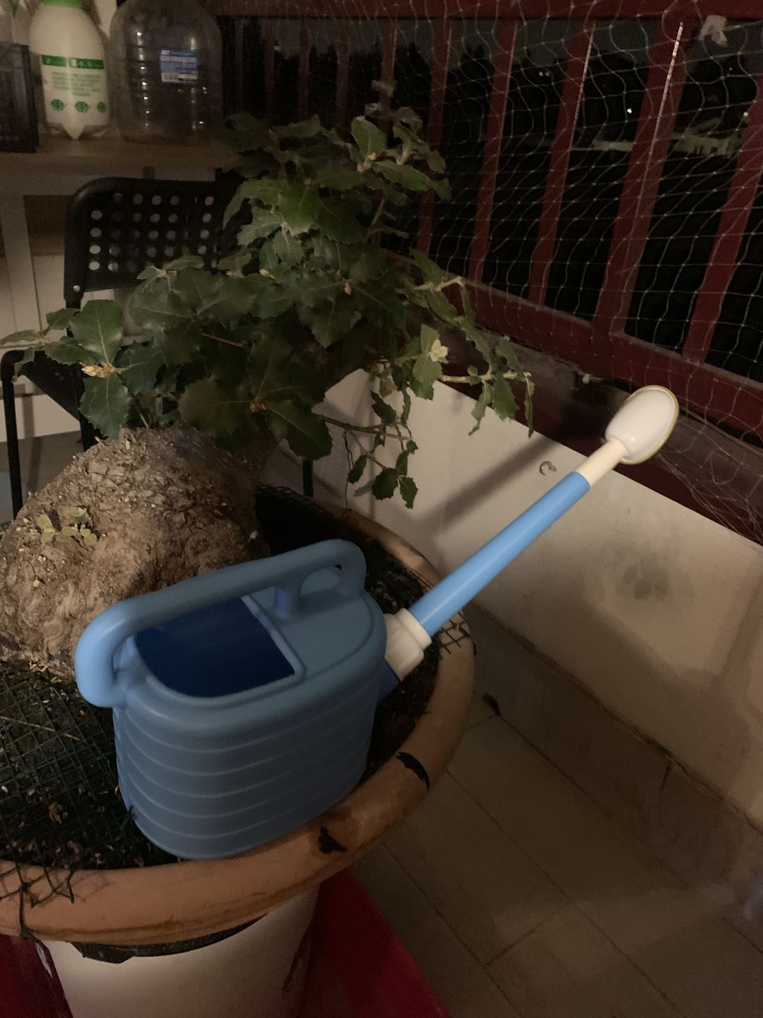 Customer photo review of ANNAFFIATOIO PROFESSIONALE PIOGGIA FINE BONSAI CB 2L