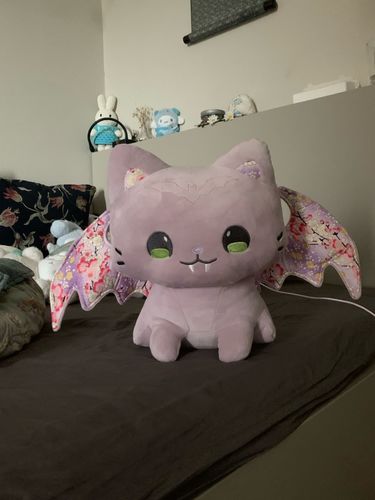 Customer photo review of Peluche Dragon<br> Chat Ailé