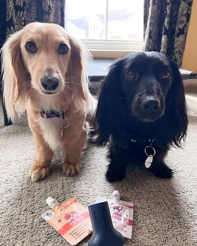 Customer photo review of Freezbone