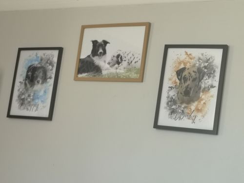 Charlotte J. review of Your Dog as Watercolor Portrait image 1 out of 1