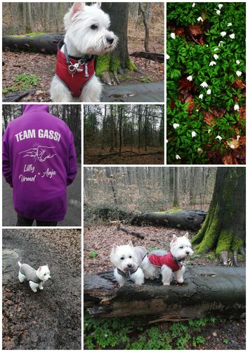 Customer photo review of Team Gassi Fauststoß - Individueller Hoodie Unisex Rückendruck