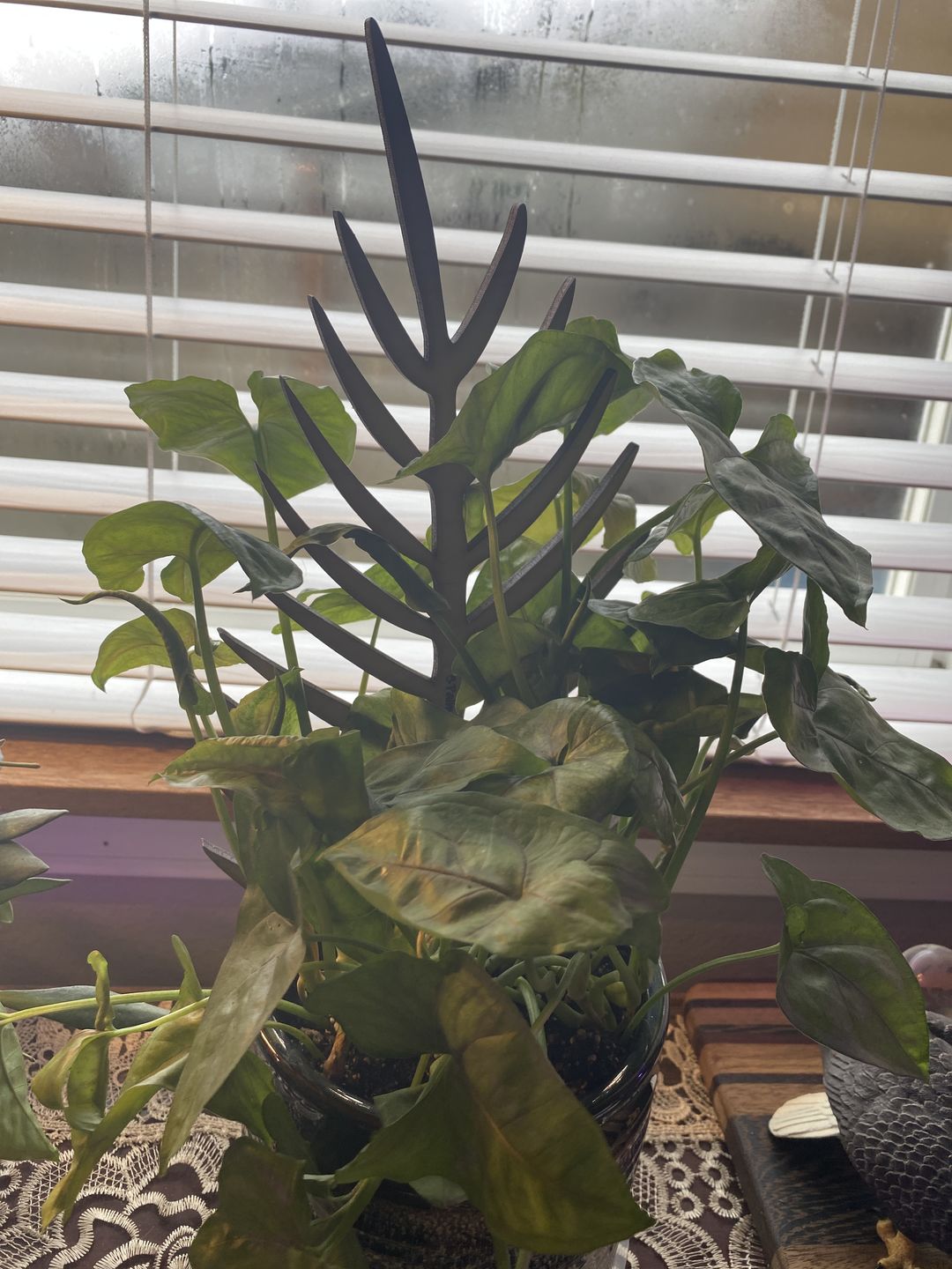 Customer photo review of BARE™ Palmella™ - Customizable wooden plant support - Inspired by the Palm leaf