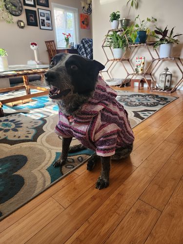 Customer photo review of Playa Poncho - Surprise Color