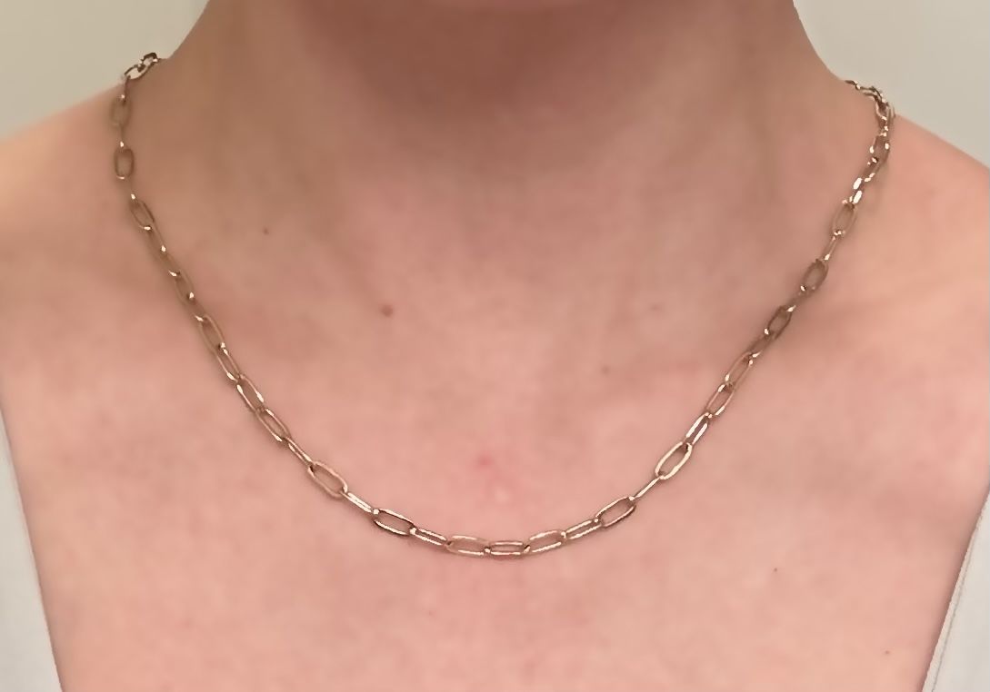 Customer photo review of Extended Paperclip Necklace