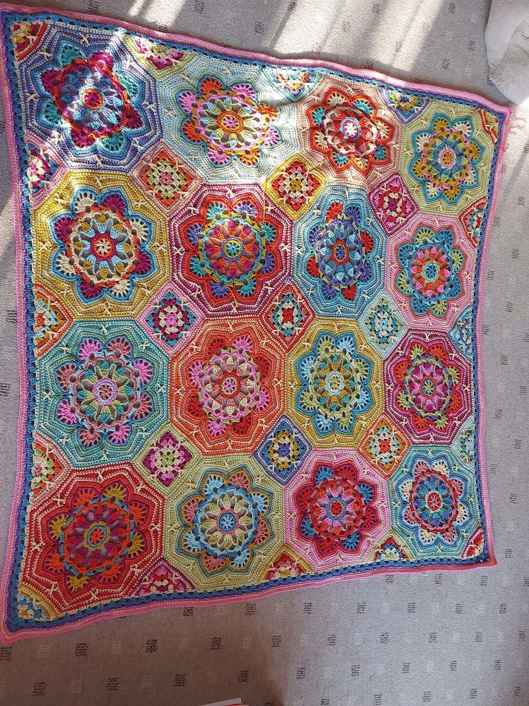 Customer photo review of Stylecraft Special DK Knitting Yarn