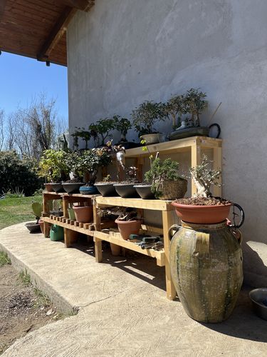 Customer photo review of PROTOCOLLO NUCLEARE CB®