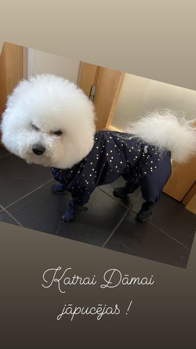 Customer photo review of Look at Me, I'm Tangle Free