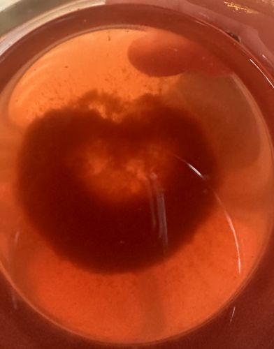 Customer photo review of Anxi-tea