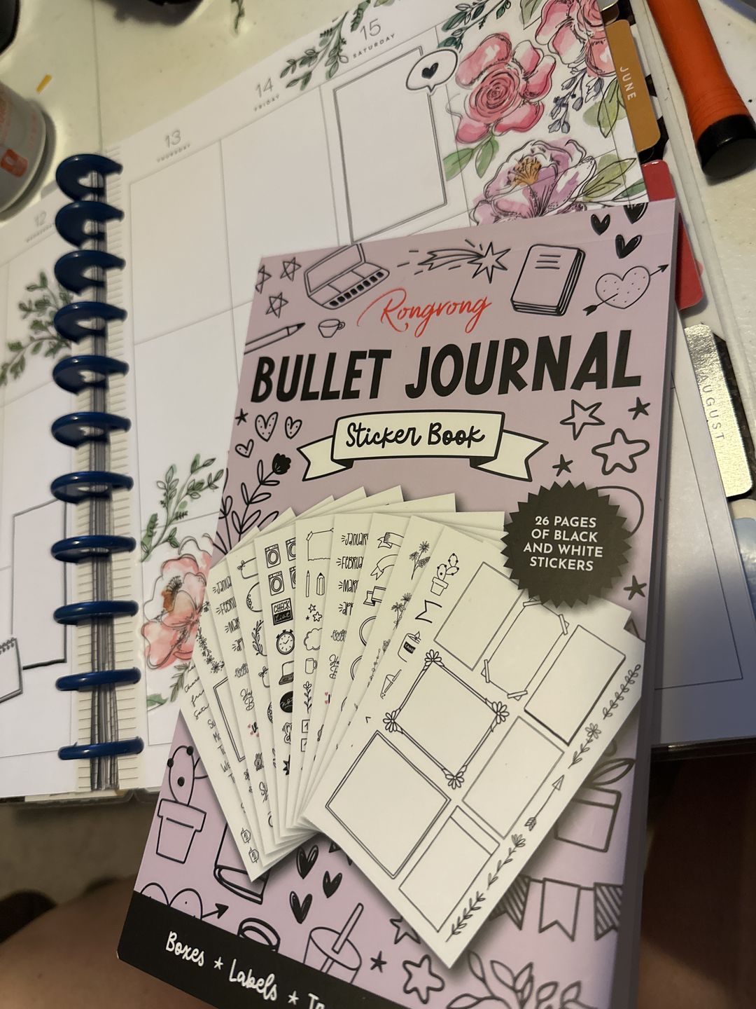 Customer photo review of Bullet Journal Planner Sticker Book [EVERYDAY]
