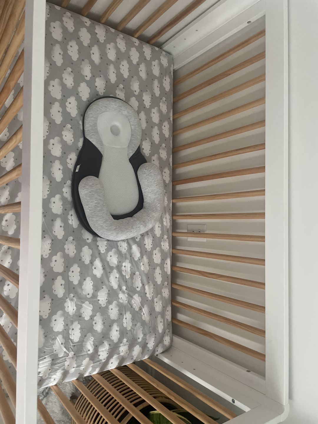 Customer photo review of Snuggle Cloud™ | Baby Lounger