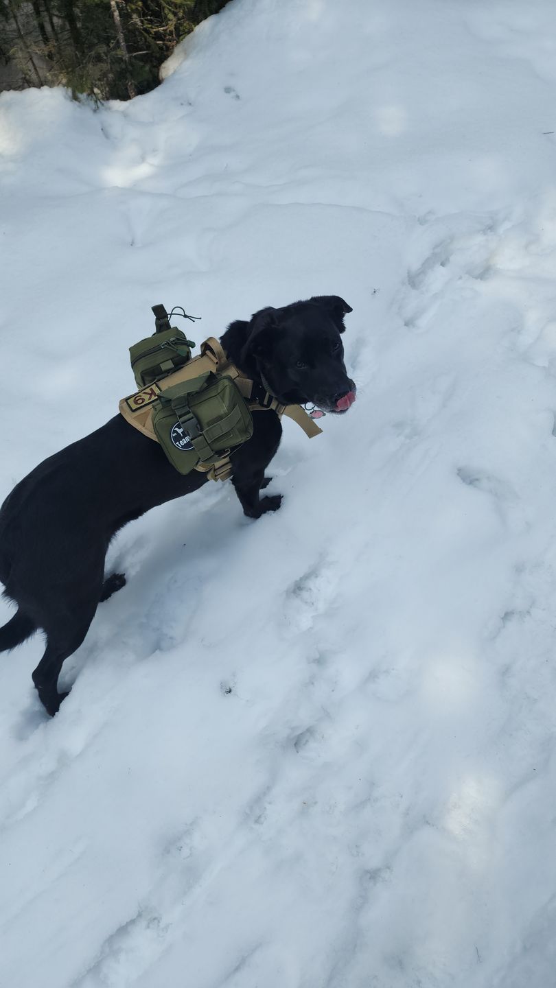 Customer photo review of Tactical Utility MOLLE Pouch For Harness (3-Piece Set)