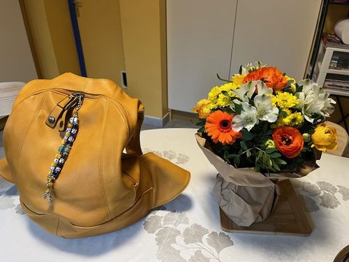 Customer photo review of The Original backpack