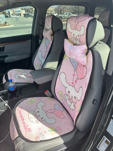 Customer photo review of Pink Fantasy Cinnamoroll Car Seat Decor