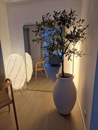 Customer photo review of Kunst Olijfboom 150cm